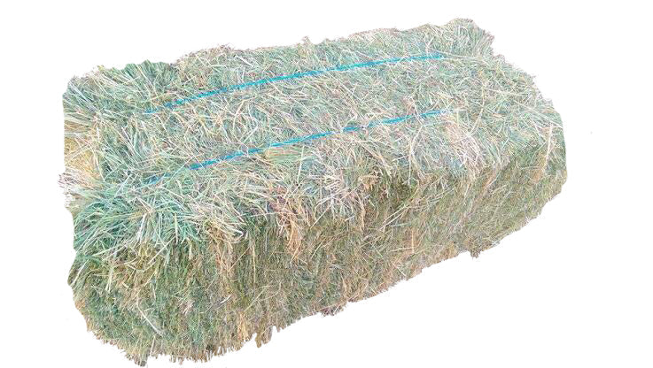 TEFF HAY BALE