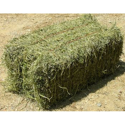 LUCERNE HAY BALE