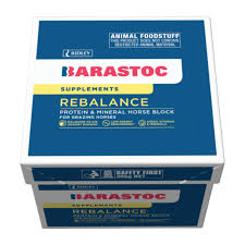 BARASTOC REBALANCE HORSE BLOCK 20KG